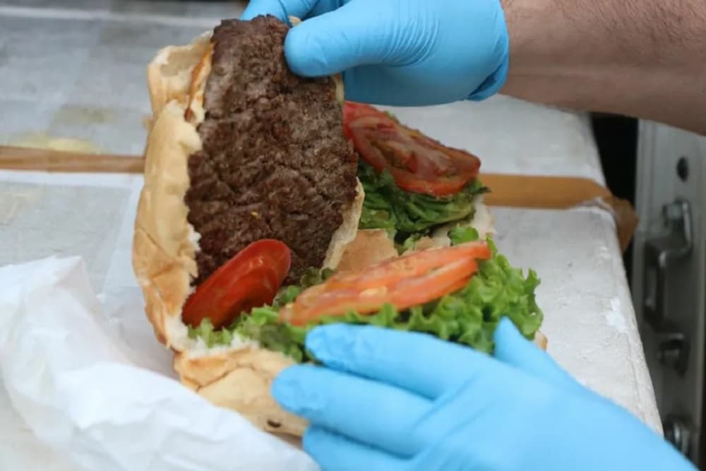 Seis réus são condenados por abate e venda ilegal de carne de cavalo a lanchonetes no RS