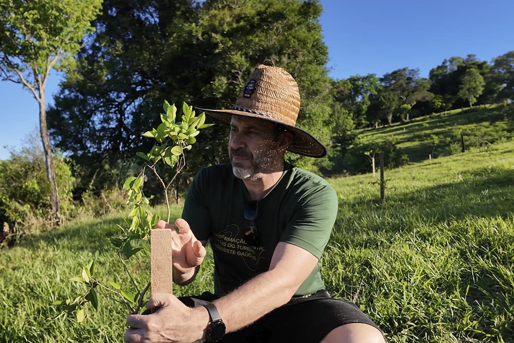 Costana Frontier Resort inicia plantio de árvores no terreno onde será construído o empreendimento