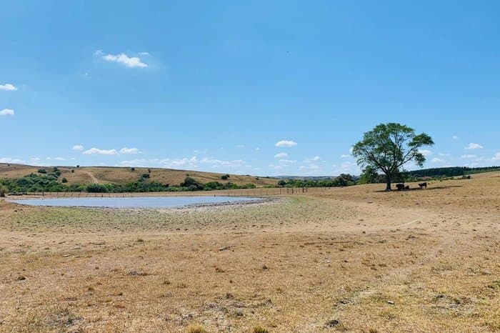 Passa de 50 número de municípios do RS em situação de emergência por estiagem