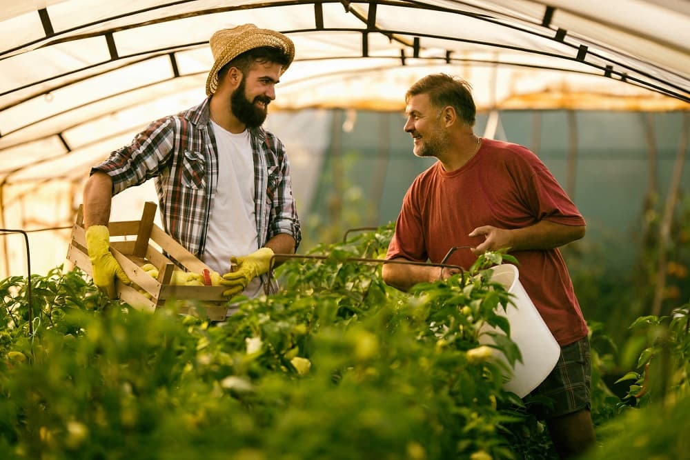 Agricultura familiar: programa concede até 95% de desconto em dívidas