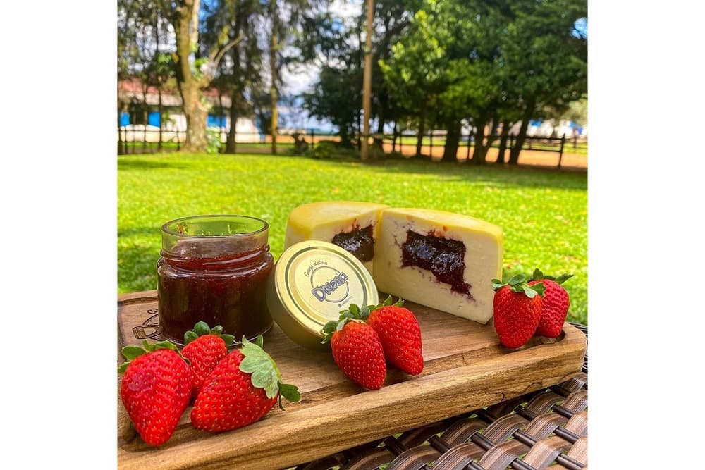 Queijaria D’ Nena conquista seis medalhas no VI Prêmio Queijo Brasil