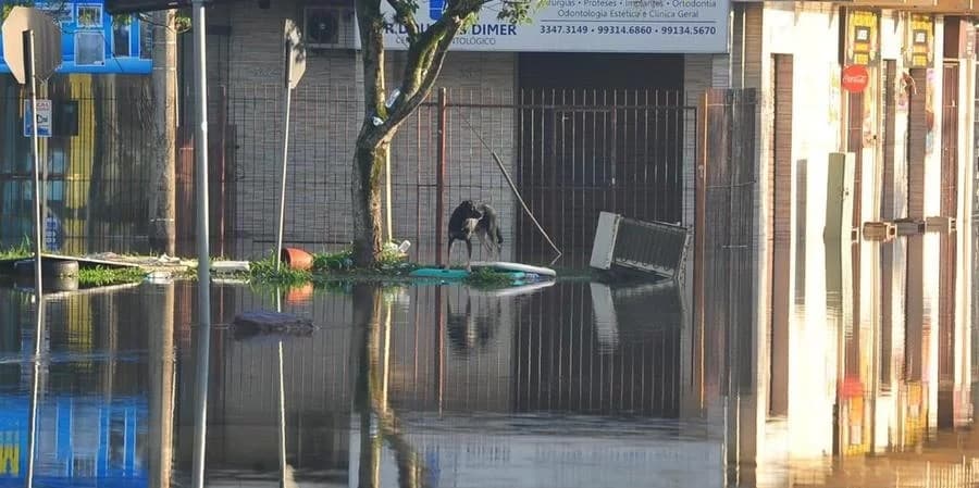 MetSul alerta para continuidade de cenário crítico “por longo período” pelas enchentes no RS