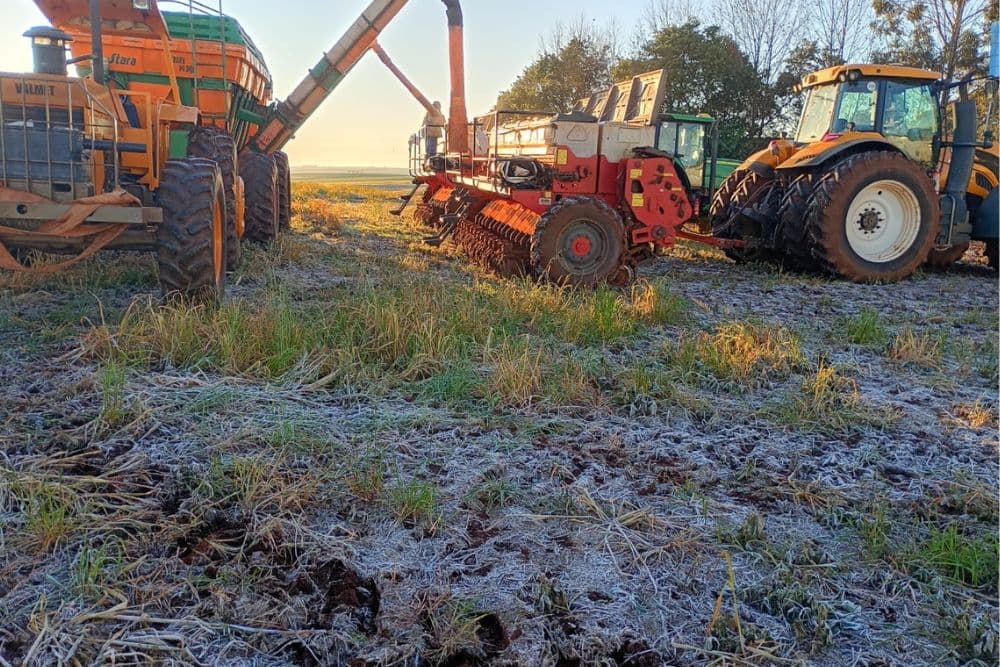 Geada intensa marca mais um amanhecer gelado em Santo Augusto nesta quarta-feira