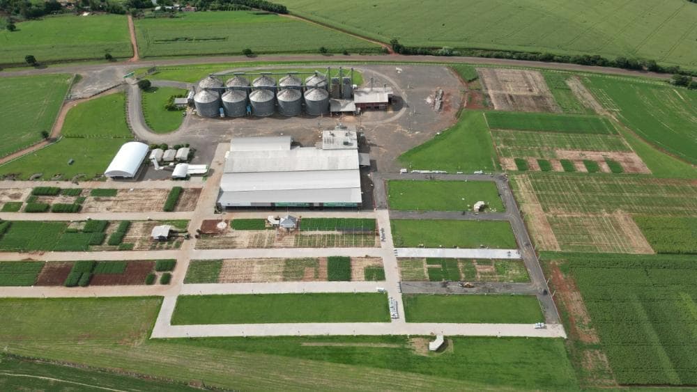 Detec Cotricampo promove Manhã de Campo da Cultura do Milho nesta quarta-feira, em Campo Novo