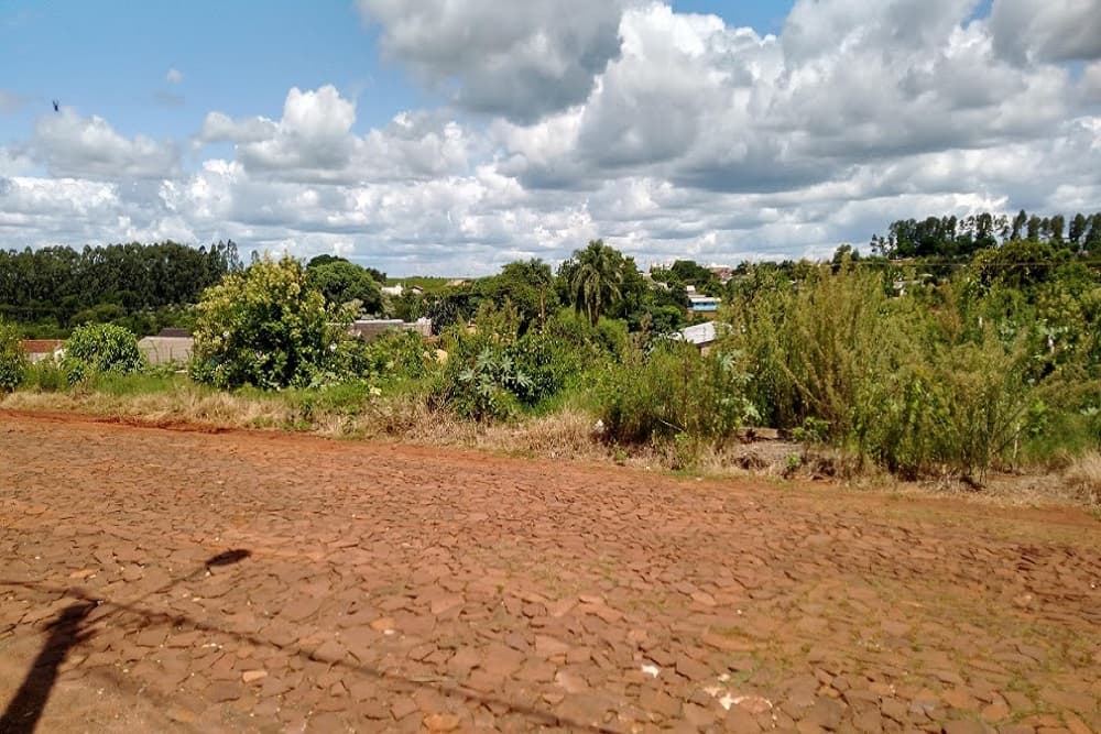 Vigilância Sanitária alerta para o aparecimento de cobras em Santo Augusto