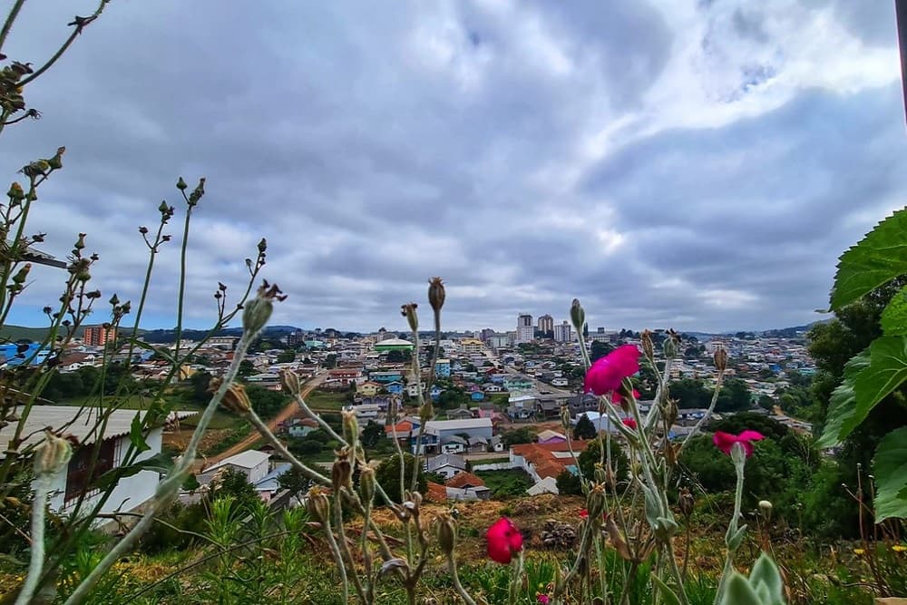 Frio e geada no Sul do Brasil a apenas duas semanas do Natal