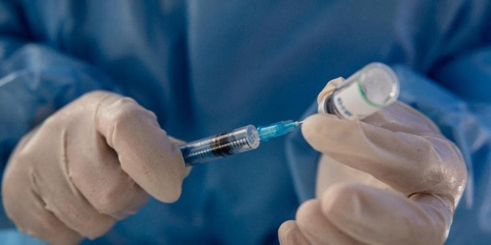 Senado autoriza produção de vacina na indústria veterinária