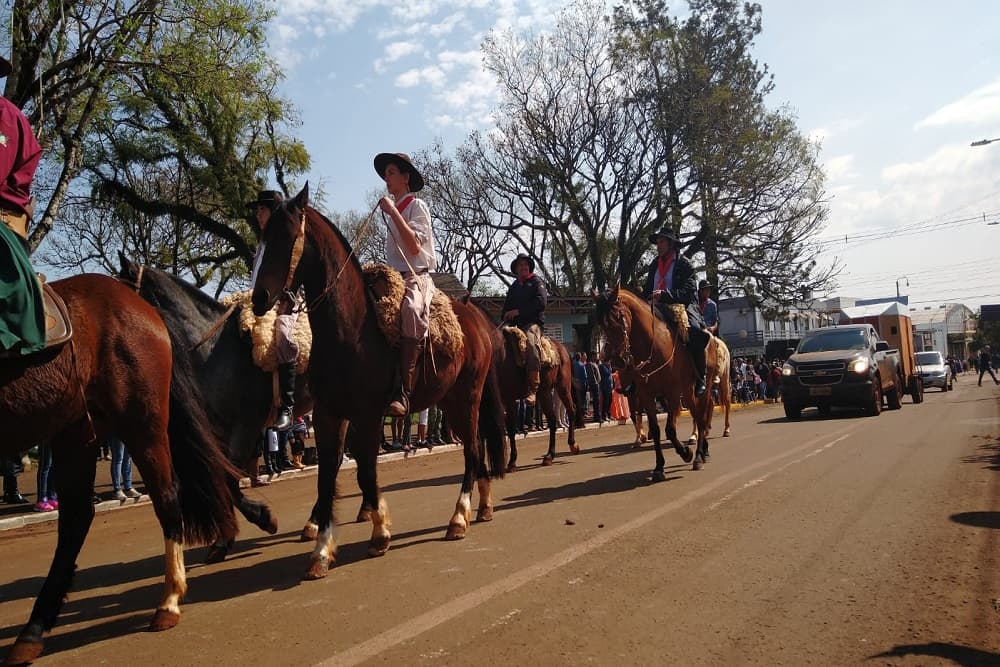 Sem custo aos proprietários, cavalos receberão chips no RS