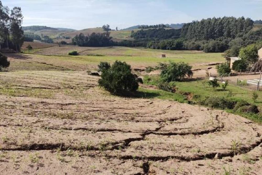Agropecuária tem perda calculada em R$ 3 bilhões no Rio Grande do Sul após enchentes