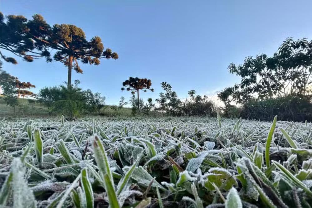Inverno começa nesta sexta e deve ter temperaturas e chuvas dentro da média; veja como será a estação