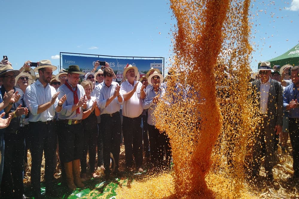 Imposto de importação para soja e milho é zerado até 2021