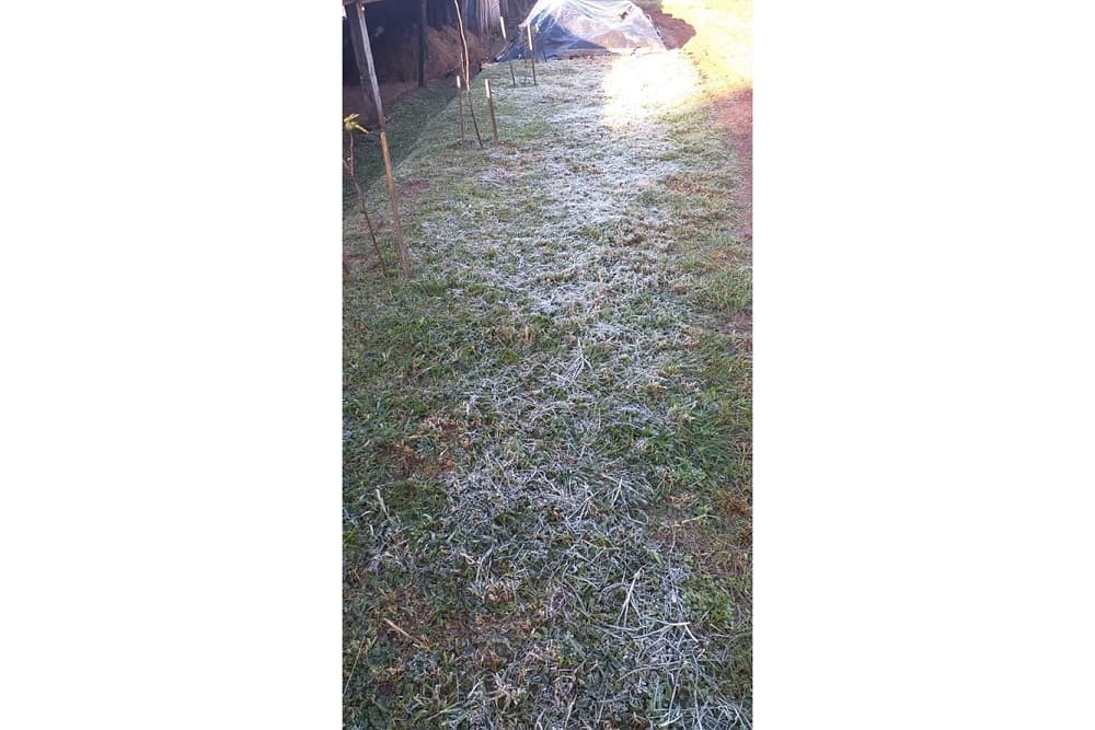 Santo Augusto registra primeira geada de 2022