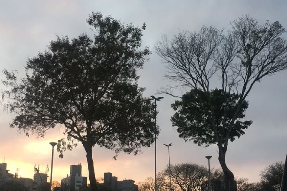 RS terá sol entre nuvens, mas tempo fica mais instável em sexta-feira fria