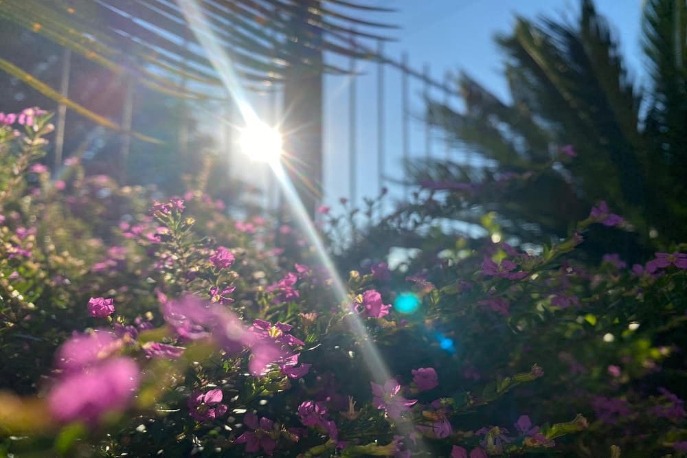 Temperatura alcança 29°C no Estado nesta quarta-feira
