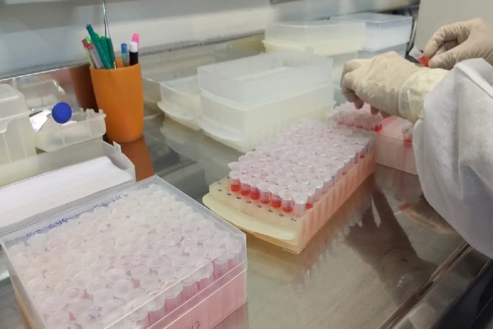 Centrais regionais de triagem aumentam a testagem da Covid-19 no RS