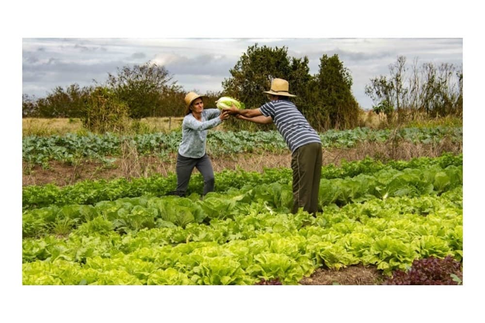 Seapdr publica edital para seleção de beneficiários das linhas do Feaper