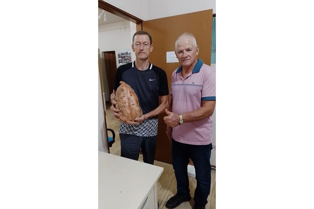 Produtor colhe batata-doce com mais de 6 quilos em Santo Augusto