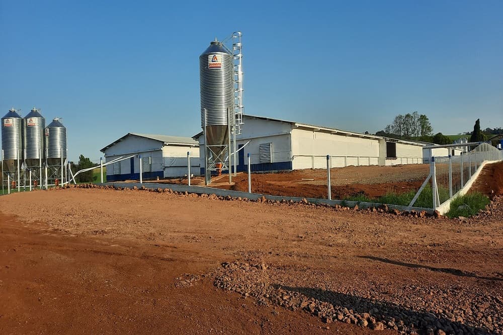 Santo Augusto terá Creche Multiplicadora de Genética Suína