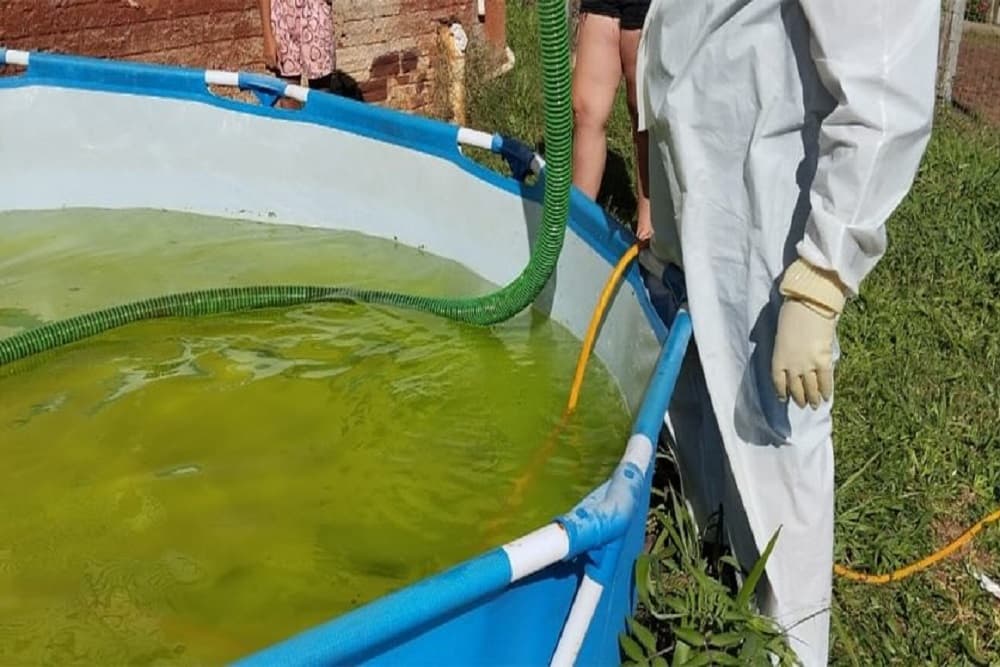 Tenente Portela começa a distribuir repelentes para frear avanço da dengue