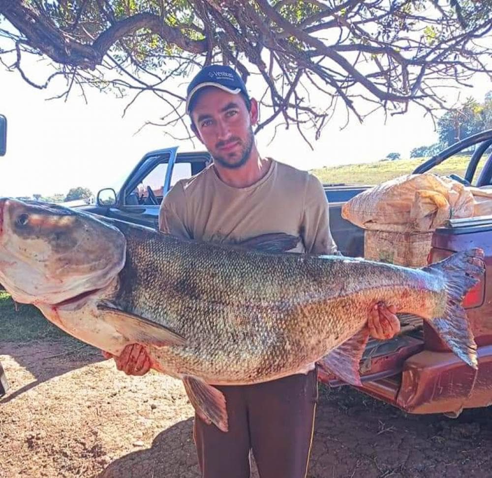 Peixe de 51 kg é pescado no Lago Passo Real em Quinze de Novembro