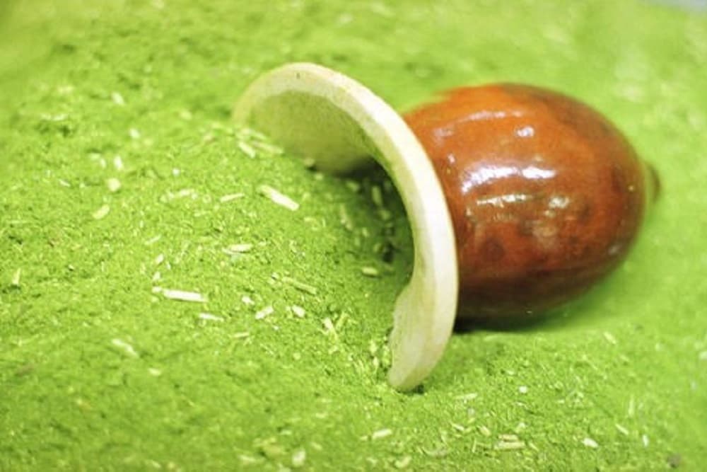 Erva-mate é oficializada como patrimônio cultural imaterial do RS