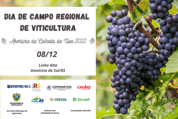 Evento em Ametista do Sul marcará a Abertura da Colheita da Uva 2022