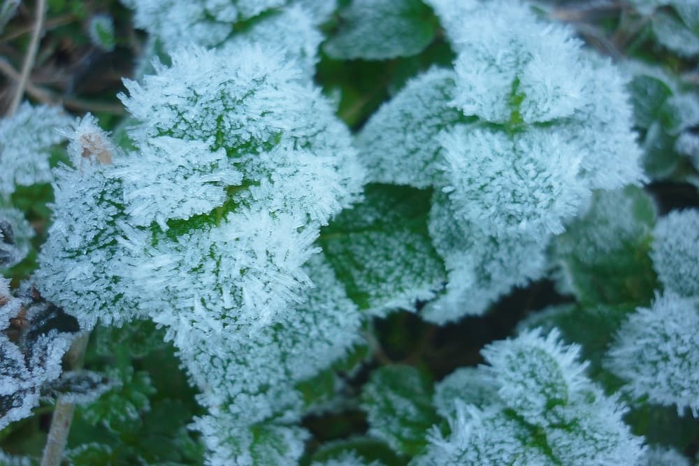 Frio será intenso no RS, mas não deverá quebrar recordes