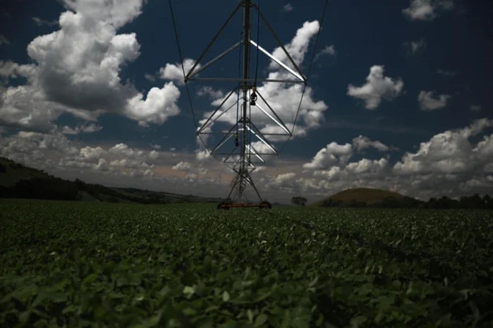 Plano Safra vai destinar R$ 516,2 bilhões em crédito para médios e grandes produtores