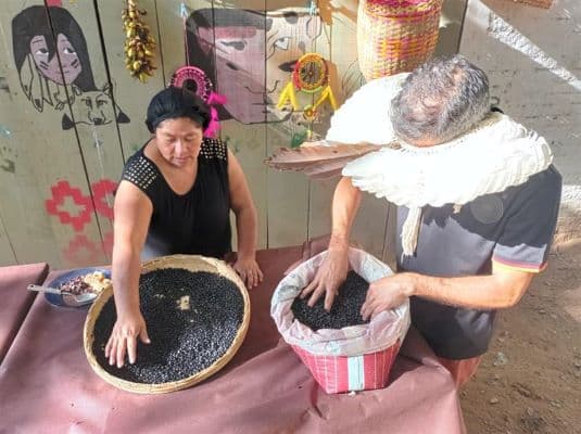 Emater/RS-Ascar promove mapeamento Guarani no Estado