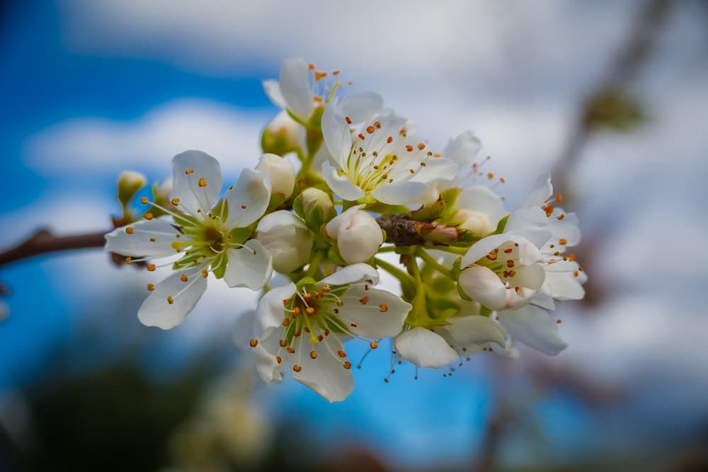 Previsão do tempo| O que esperar do clima neste mês de outubro