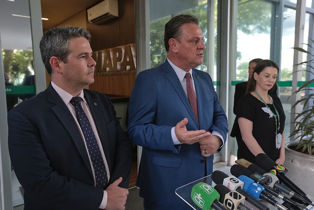 Mapa reforça status de vigilância para evitar entrada da Gripe Aviária, diz ministro