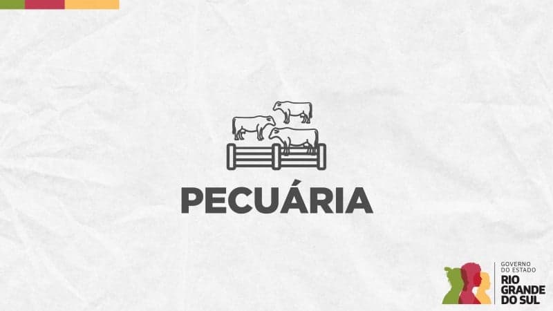 Coleta de leite e inspeção de produtos de origem animal têm regras flexibilizadas por causa da calamidade no RS