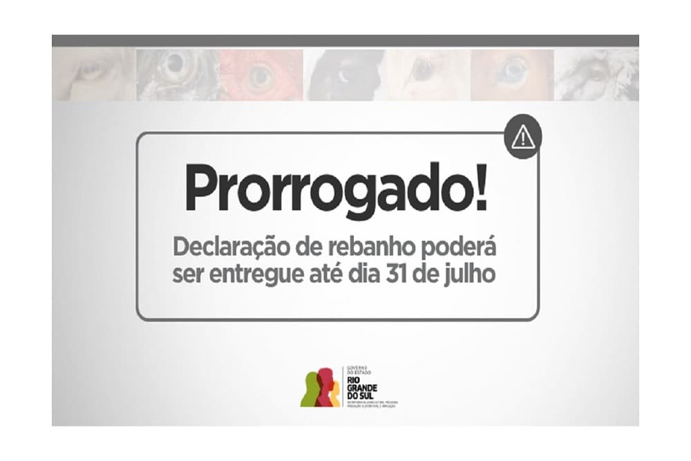 Declaração de rebanho tem prazo prorrogado para 31 de julho