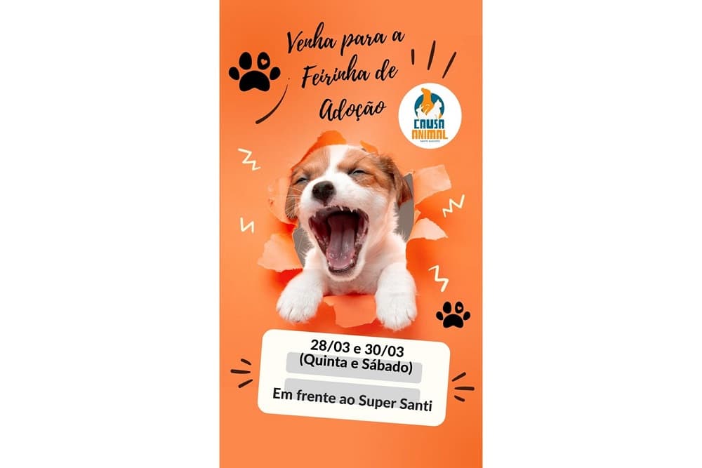 Feirinha de Adoção de Animais em Santo Augusto