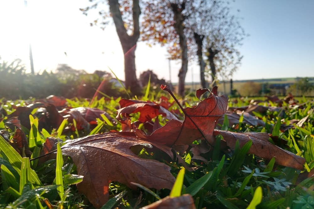 Semana começa com chuva e termina com frio no RS