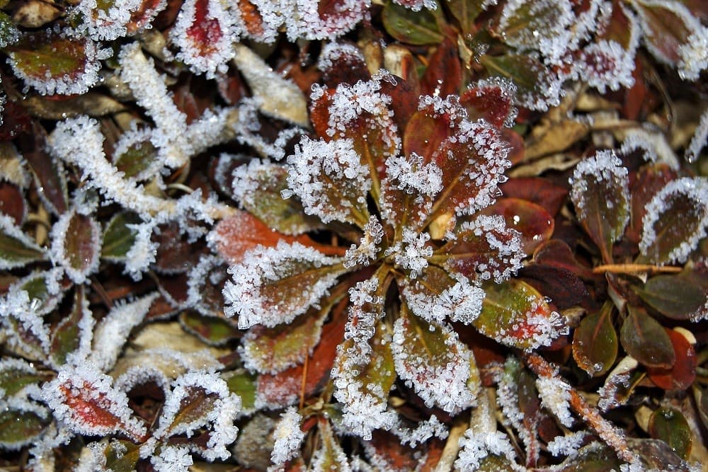 Climatempo esclarece que é falsa informação sobre frio mais intenso do século no Brasil