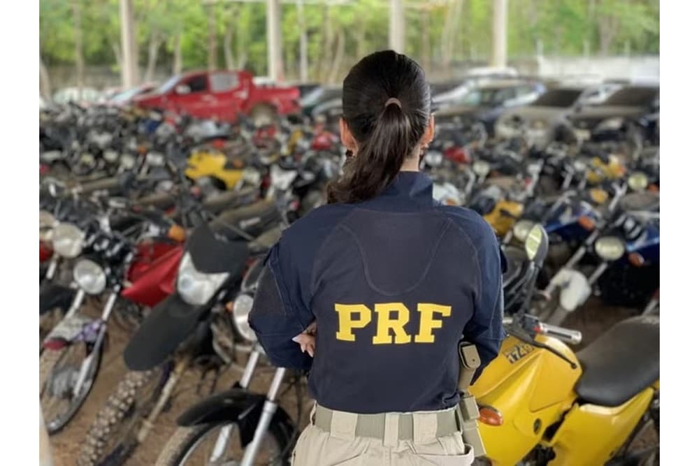 Leilão da PRF em Santa Catarina tem 238 veículos aptos a circulação a partir de R$ 290