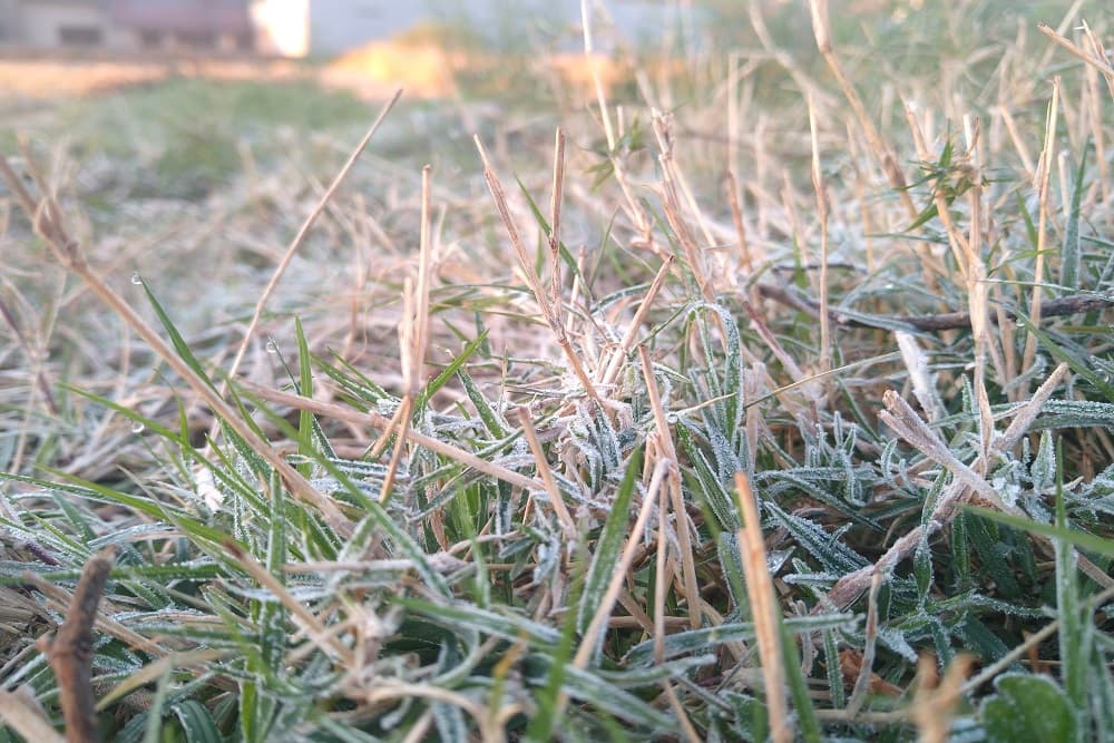 Santo Augusto amanheceu com mínima de -0,5°C, segundo o INMET
