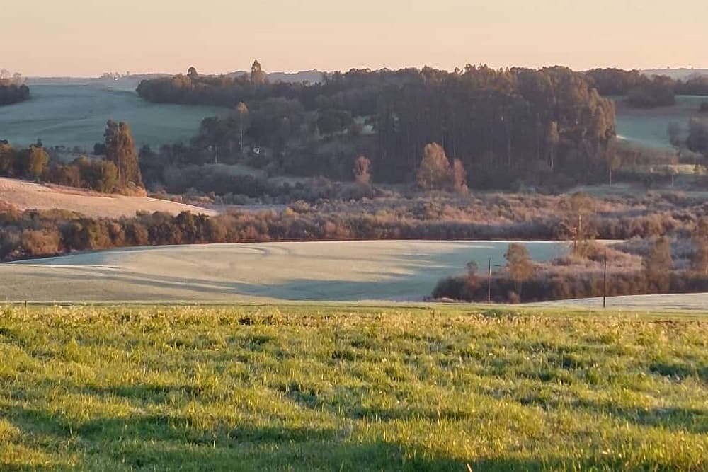 Amanhecer gelado e aumento gradual da temperatura marcam a quarta-feira no RS