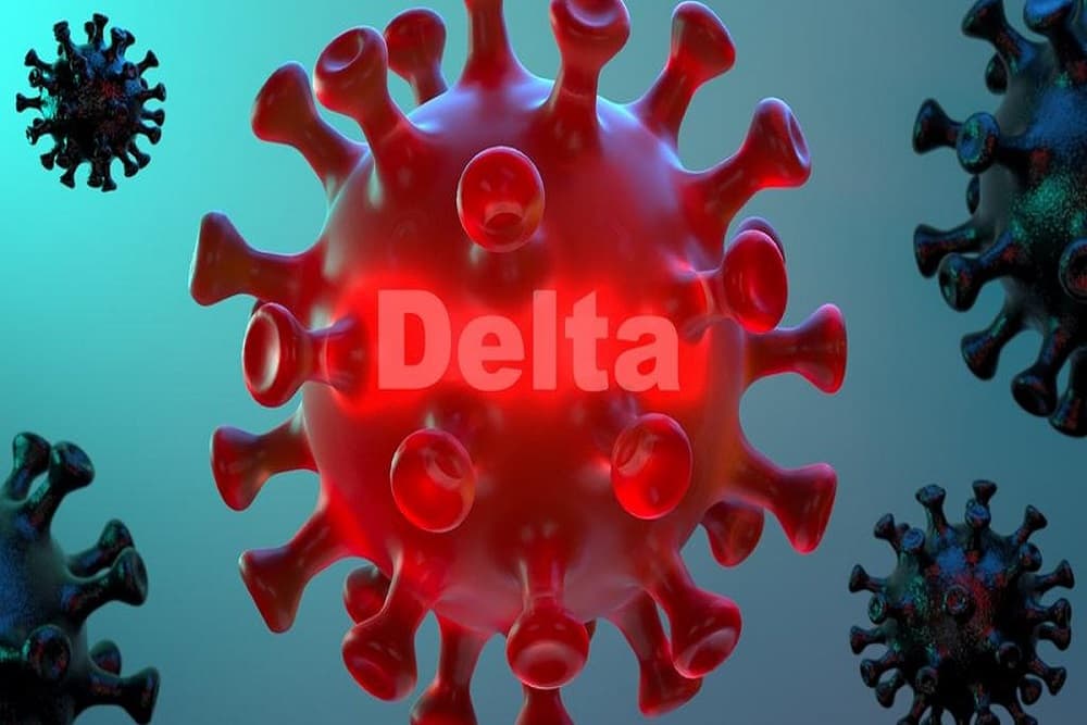 Variante delta do coronavírus é encontrada em 3 de cada 4 amostras no RS, aponta pesquisa