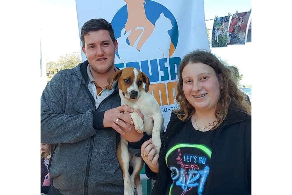 I Feira de Adoção Responsável da Causa Animal foi sucesso