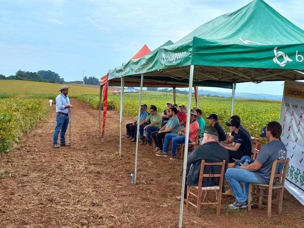 Cotricampo promove Manhã de Campo Soja debatendo agricultura de precisão, cultivares e manejo de plantas daninhas
