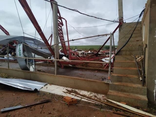Imagens fortes|Temporal no oeste do PR destrói agroindústria e mata animais