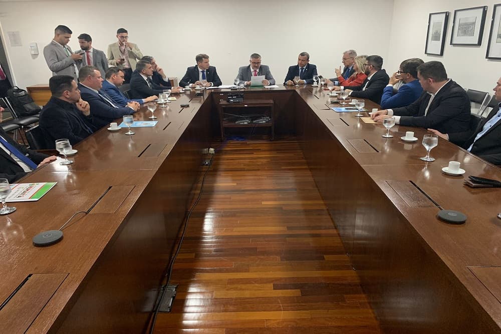 Ernani Polo participa de audiência em busca de auxílio para municípios gaúchos atingidos pelo ciclone