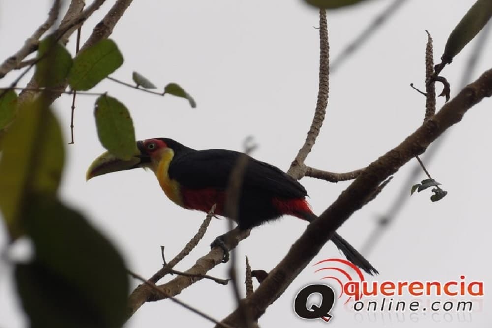 Primavera começa hoje com sol no RS