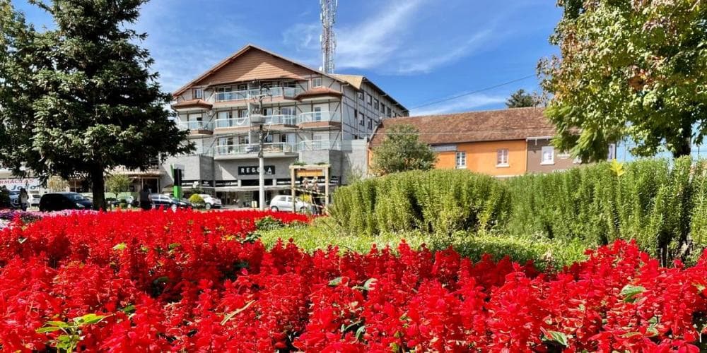 Ar frio traz sol e dia ameno ao RS nesta segunda-feira