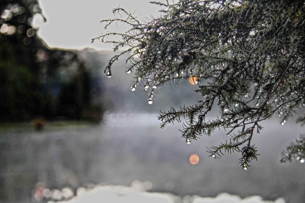Semana terá temperaturas abaixo de zero e chance de neve na serra gaúcha