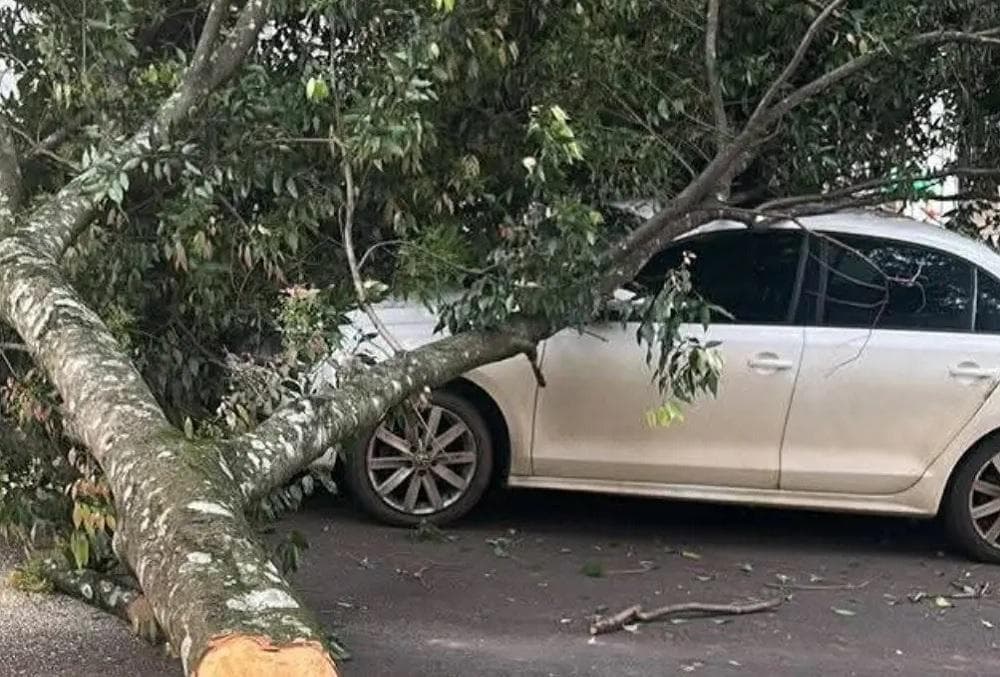 Ciclone provoca ventos fortes e falta de luz no Rio Grande do Sul