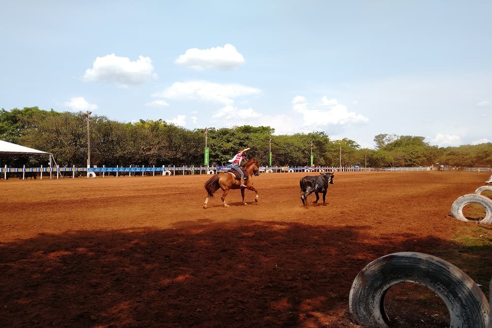 Celebração da Tradição Gaúcha: 41º Rodeio Crioulo do CTG Pompílio Silva começa quinta-feira, 08
