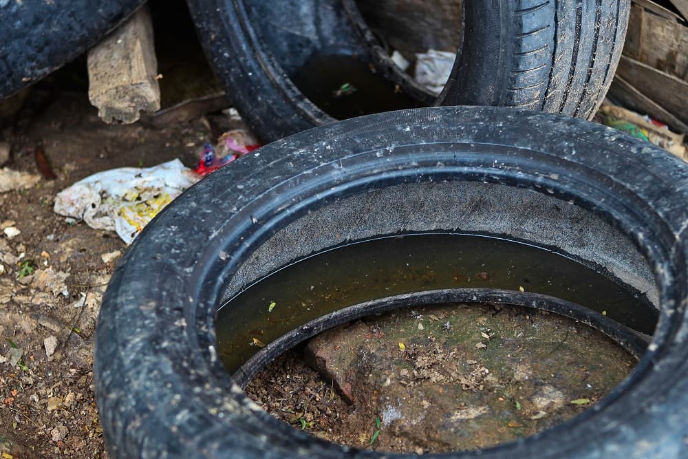 Santo Augusto confirma mais um caso de dengue